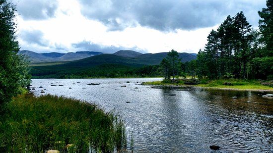 Glenmore Forest Park